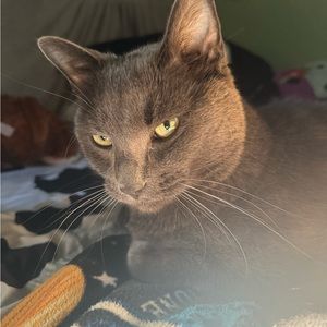 Meet your Posher, Makayla